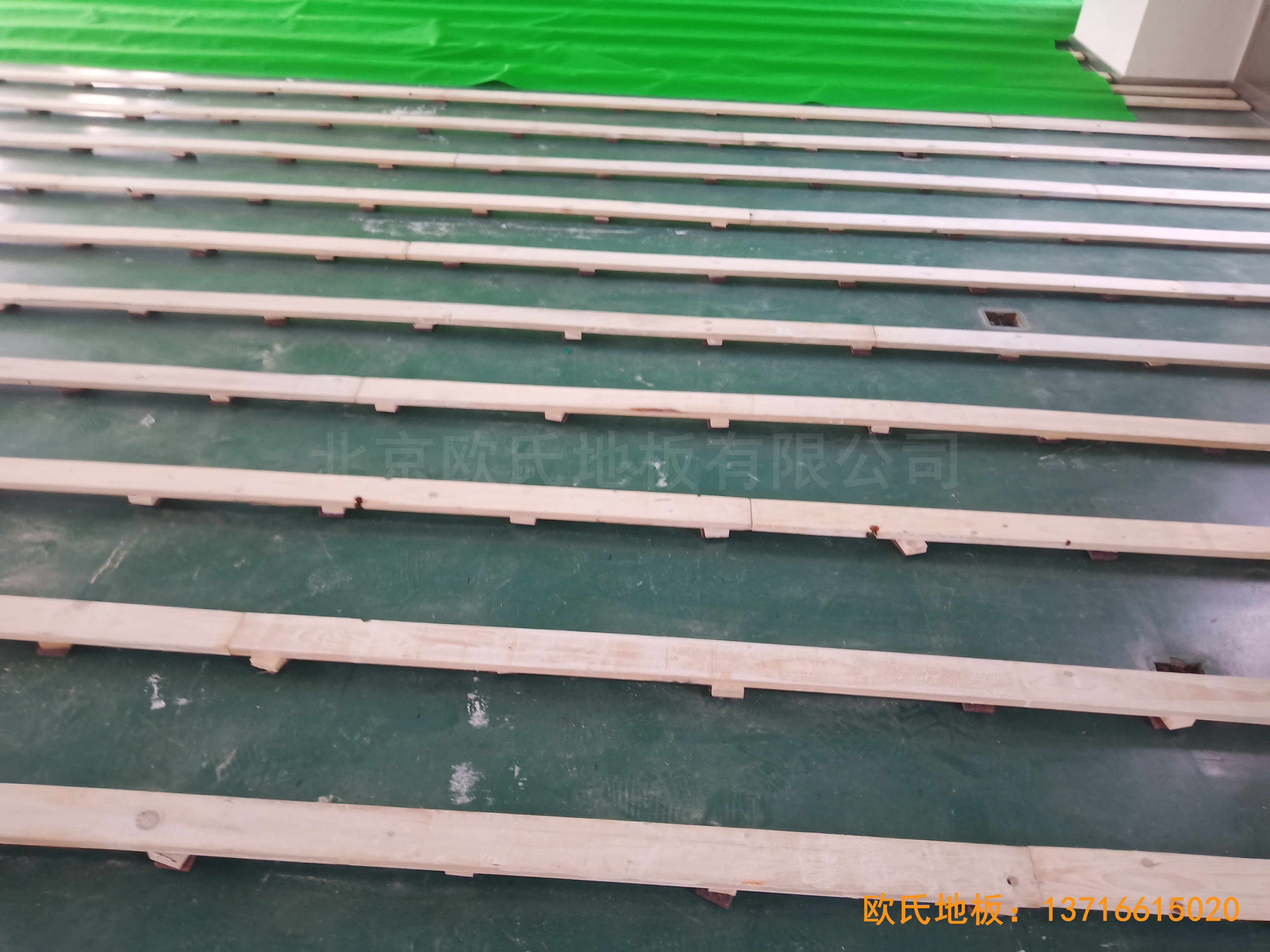 �Ї��ƌWԺ���g�о����\���^�w���ذ�ʩ������2