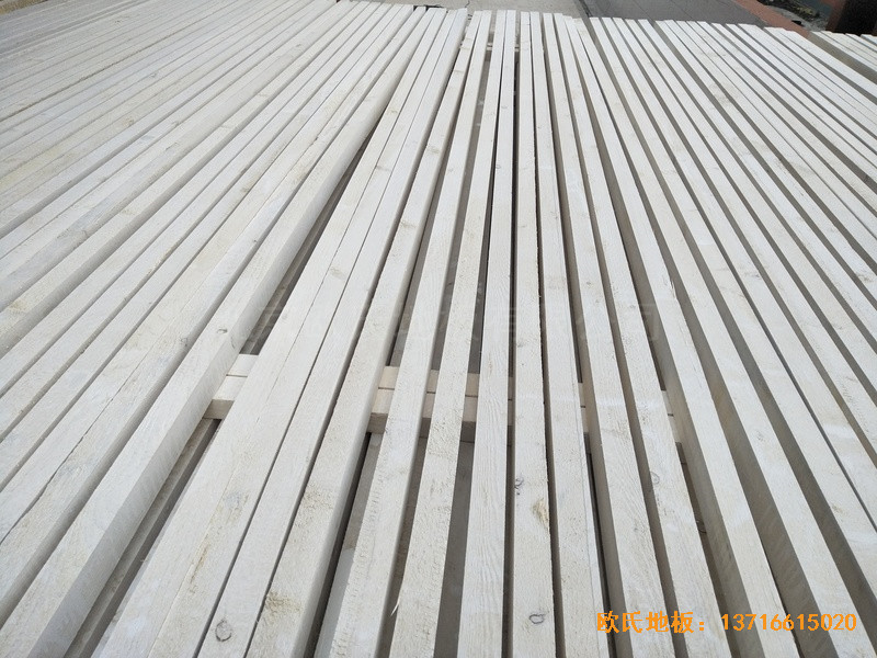 �Ϻ��ɽ��^�ܱ��WУ�\���^�\��ľ�ذ���O����1