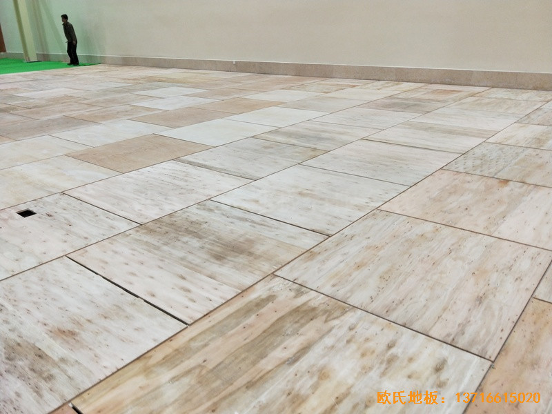 �Ĵ����^�(zh��n)13667���(du��)�\(y��n)���^�w��ľ�ذ���b����2