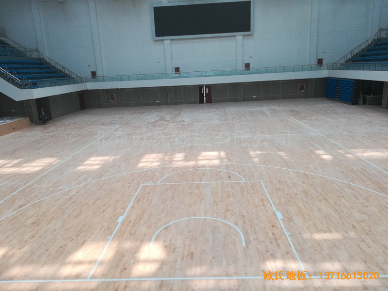 ɽ�|��(j��)���L(zh��ng)��ɽ�|����W(xu��)Ժ�@���^�w��ľ�ذ���O(sh��)����5