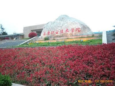 ��������I(y��)���g�WԺ�@���^�\�ӵذ尲�b����