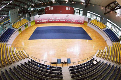 體育運(yùn)動(dòng)地板 體育運(yùn)動(dòng)地板