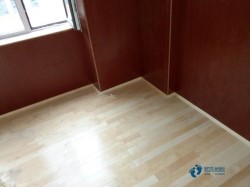 ��(sh��)ľ�w���@��ذ屣�B(y��ng)֪�R(sh��)