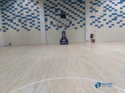 常用松木舞臺(tái)運(yùn)動(dòng)體育地板較好的有哪些牌子