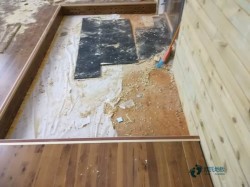 大學運動木地板保養知識