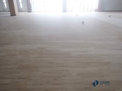 �҃��\���͵ذ�ʩ���F�