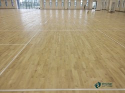 ����Щ�\��ľ�ذ��坍���B